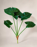 Planta Alocasia Big H:79 cm Grön