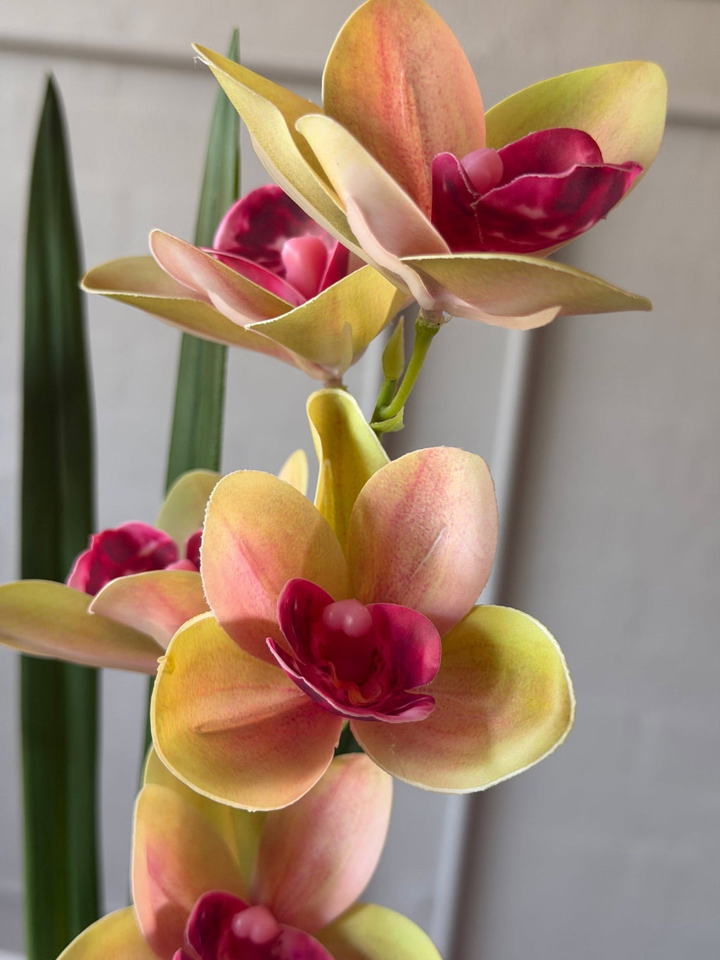 Orkidéstjälk - Rosa 70 cm