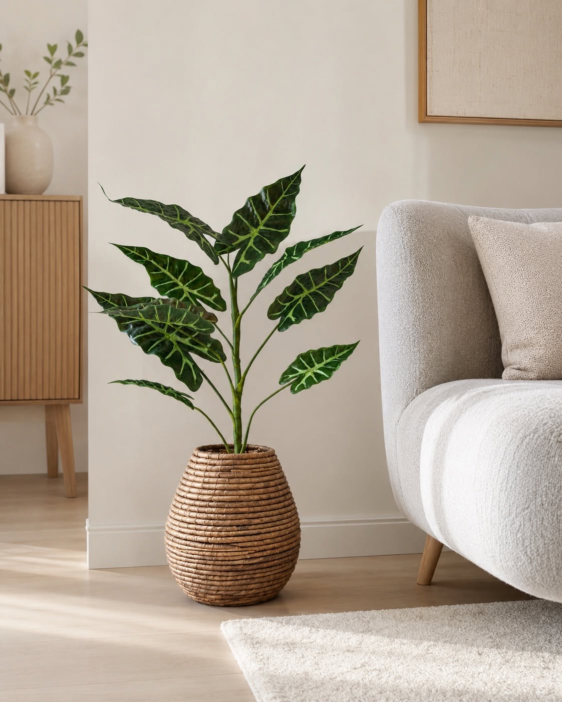 Planta Alocasia H:80 cm Brokig