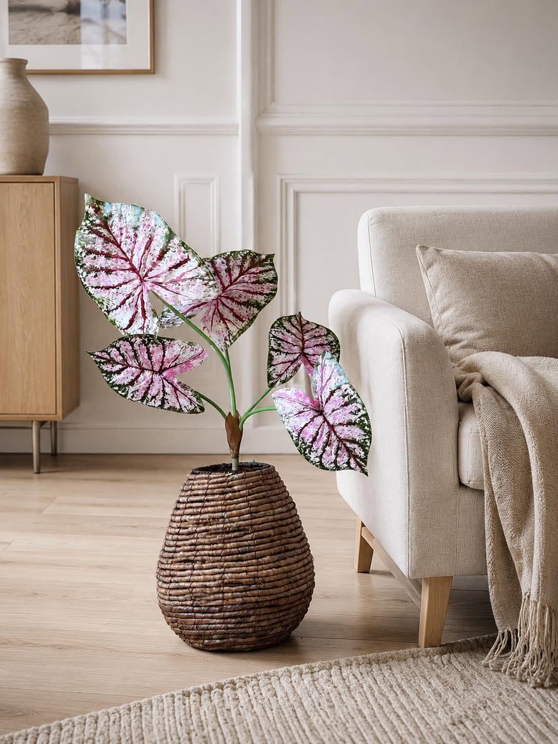 Växt Caladium H:67 cm Rosa/Grön