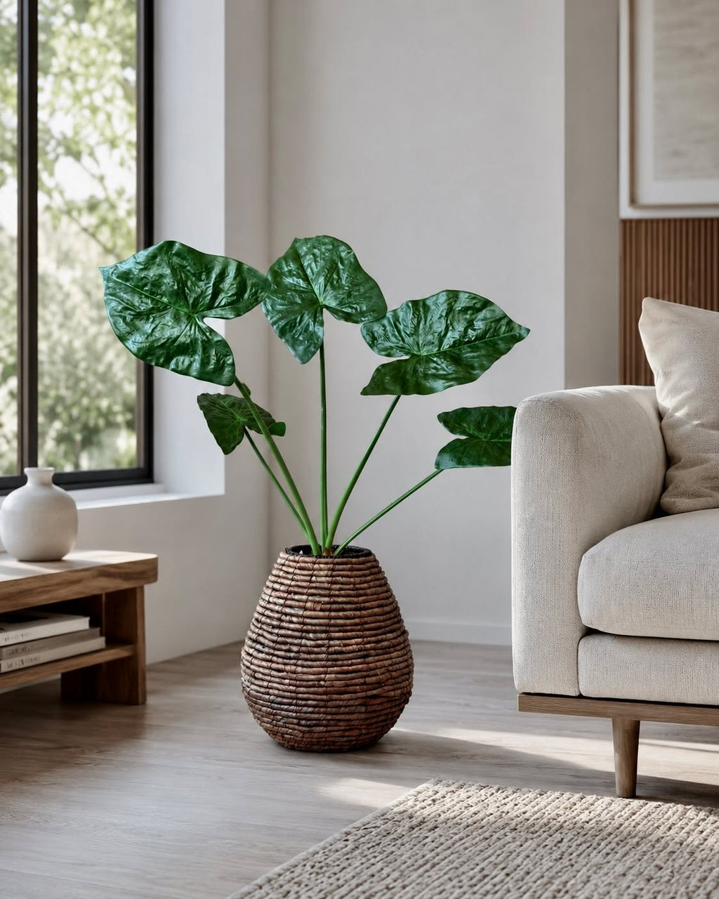 Planta Alocasia Big H:79 cm Grön