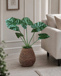 Planta Alocasia Big H:79 cm Grön